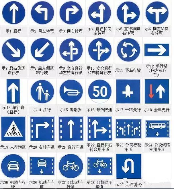 看清信號燈、標(biāo)牌與標(biāo)線